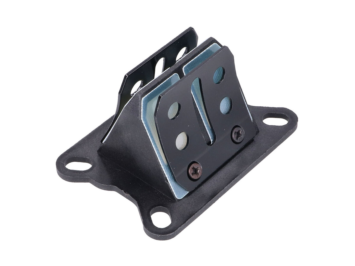 Bloc membrane Racing pour AM6, Derbi, Generic, KSR-Moto, Keeway, Simson
