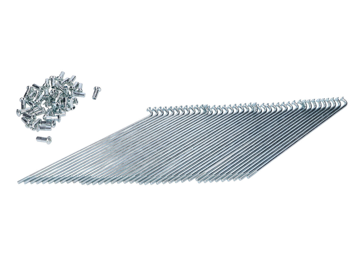Rayons chromés 145 x 2,9mm avec embout (36 pièces) pour vélomoteur, cyclomoteur, mobylette