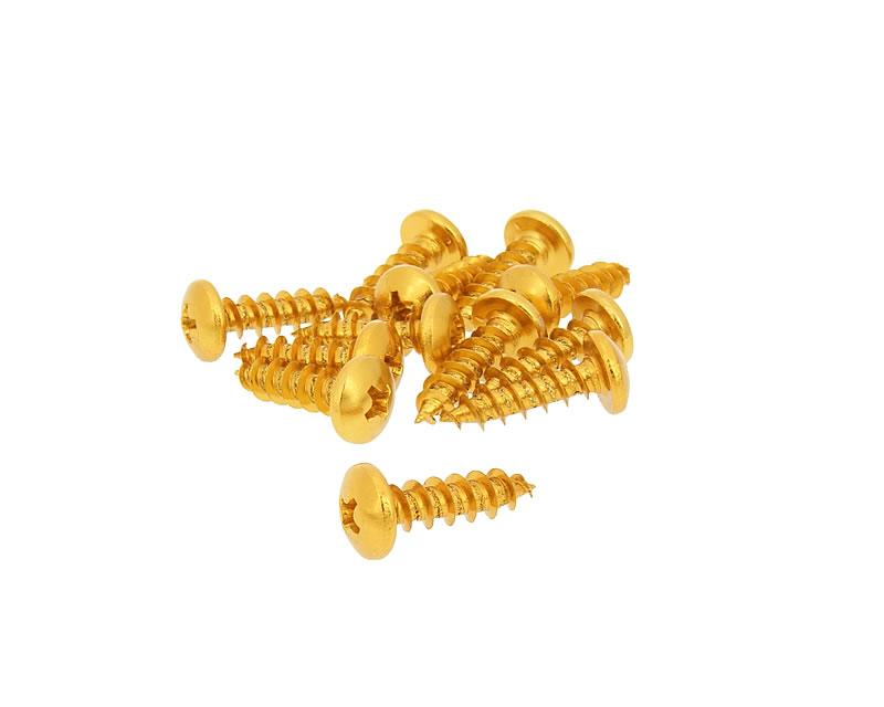 Jeu de vis 12 pièces carénage or - 6x20