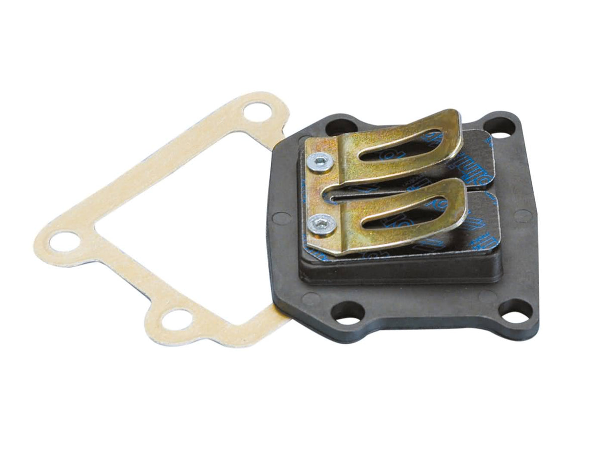 Clapet Polini pour Minarelli vertical