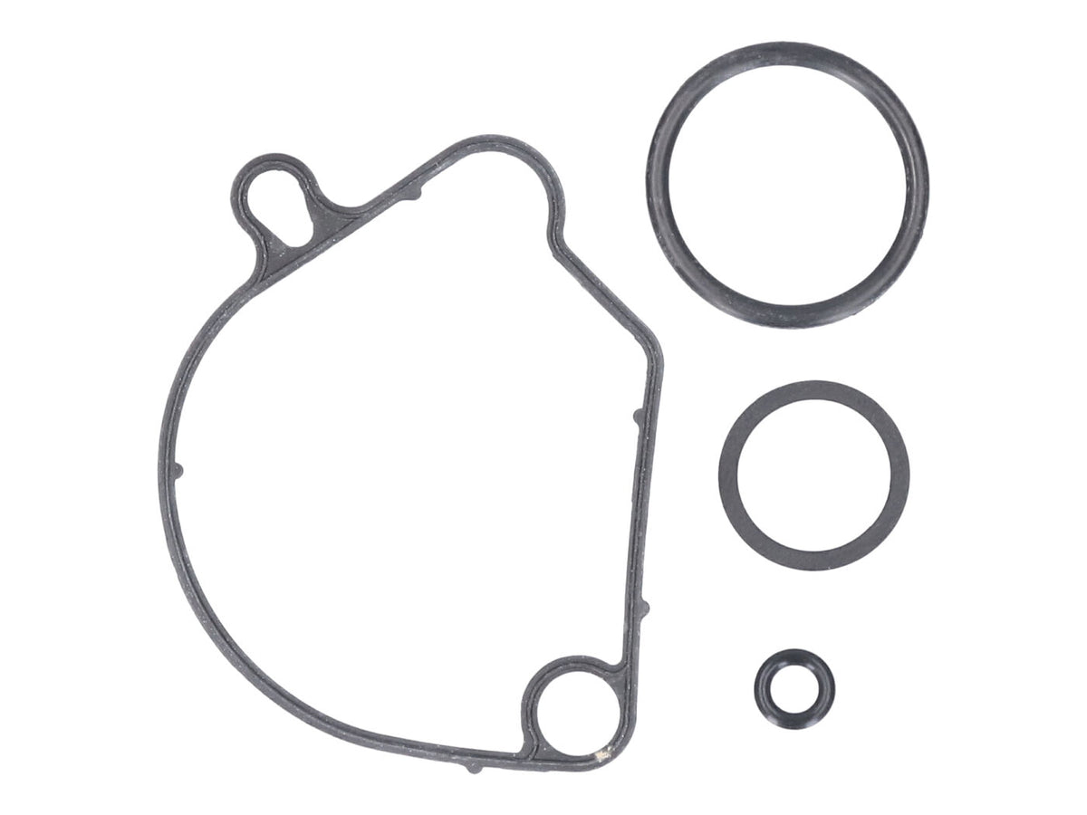 Joints de carburateur pour Honda Wallaroo