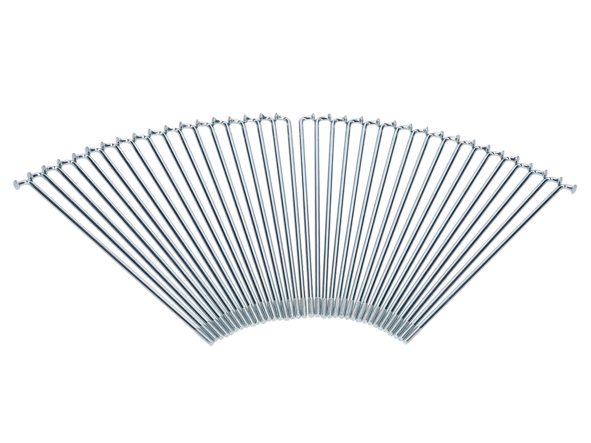 Jeu de rayons chromés 3,1x149mm 36 pièces pour Zündapp KS 50, C 50 Sport