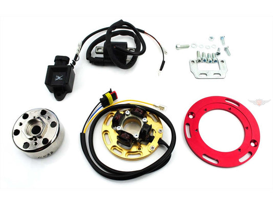 Allumage 60W 71mm Roue polaire 310g 17x12mm Cône 94mm Plaque de base 120mm Adaptateur pour Yamaha, DT 50 MX