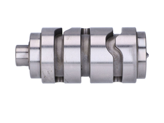Schaltwalze OEM für Derbi Senda, Gilera RCR, SMT = PI-1A011714 = PI-847081