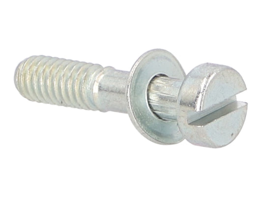 Vis de cuve pour carburateur Dellorto