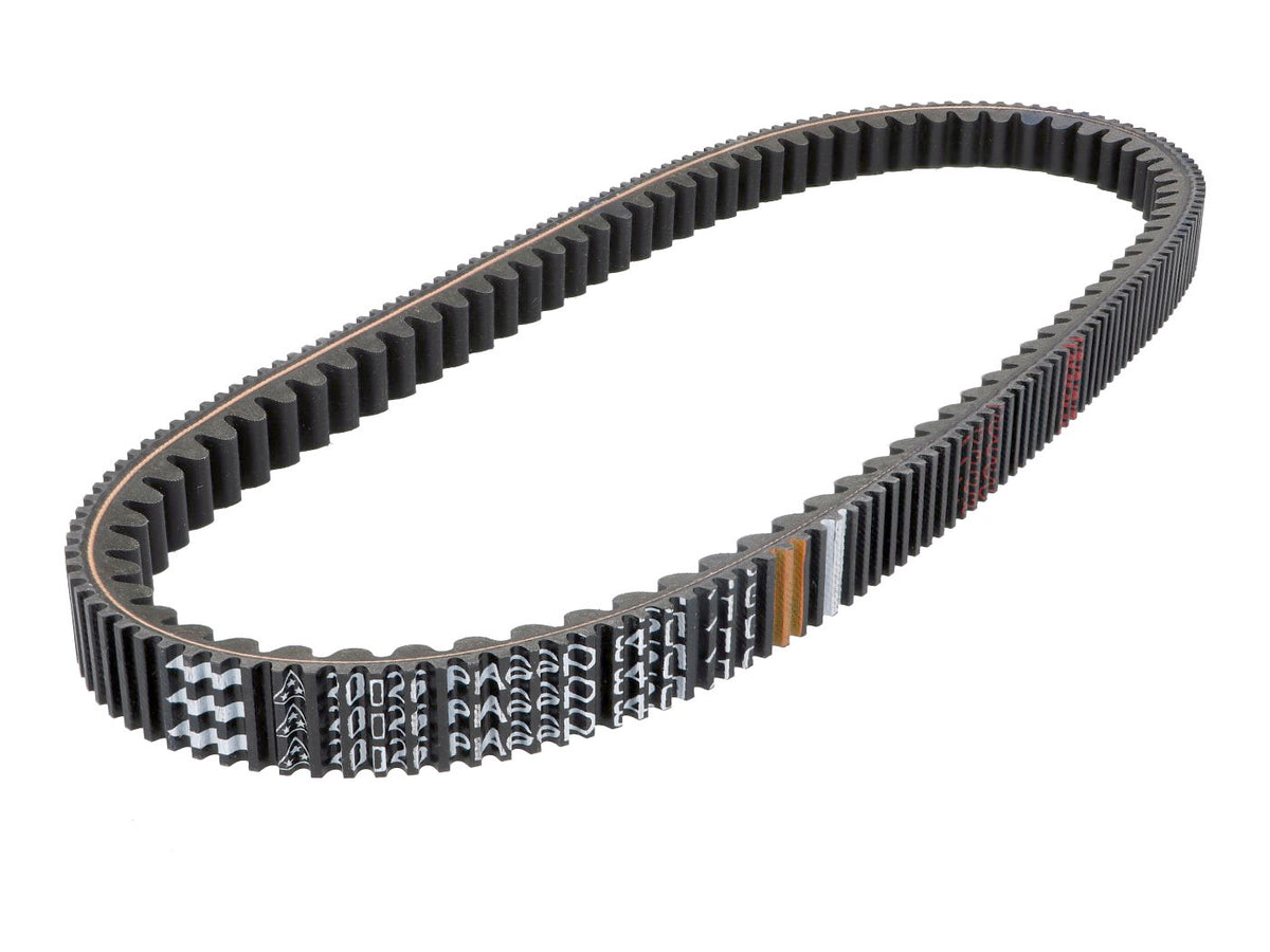 Courroie OEM pour Beverly, Carnaby, Sport City, Scarabeo 200